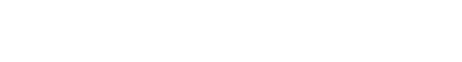 Larense accordeon vereniging   (Laren-Gelderland)